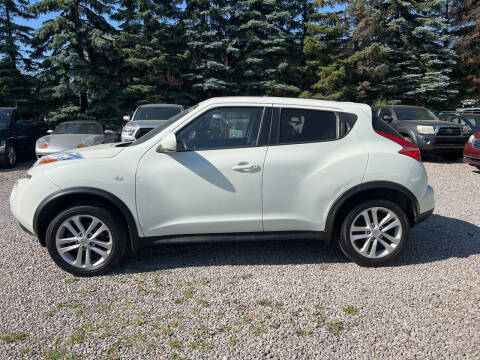 2011 Nissan JUKE for sale at Renaissance Auto Network in Warrensville Heights OH