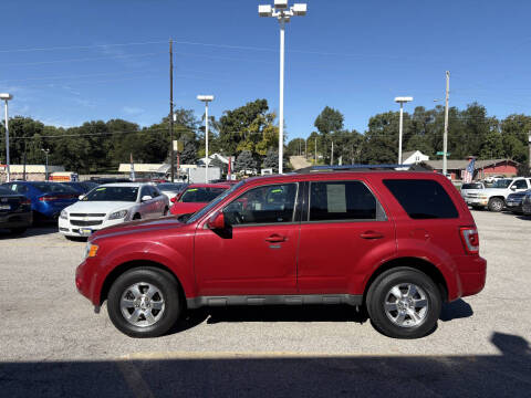 2011 Ford Escape Limited