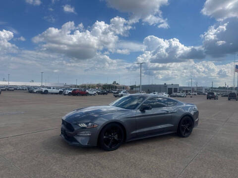 2022 Ford Mustang EcoBoost