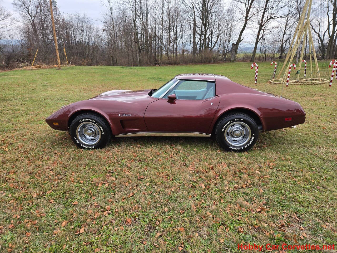 1976 Chevrolet Corvette 11
