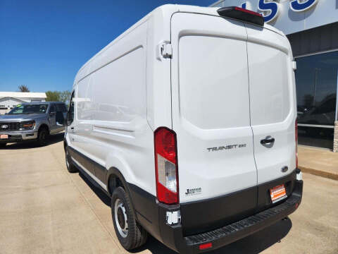 2025 Ford Transit 250