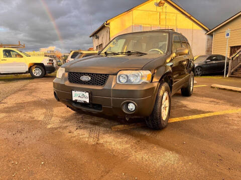 2007 Ford Escape XLT