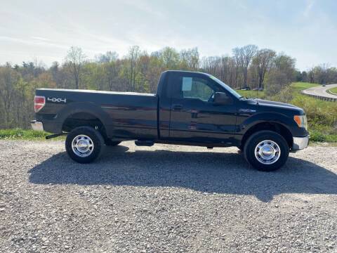 2010 Ford F-150 for sale at Skyline Automotive LLC in Woodsfield OH