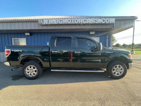 2014 Ford F-150 for sale at BG MOTOR CARS in Naperville IL