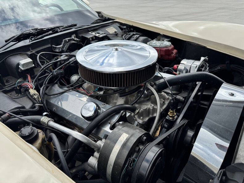 1981 Chevrolet Corvette