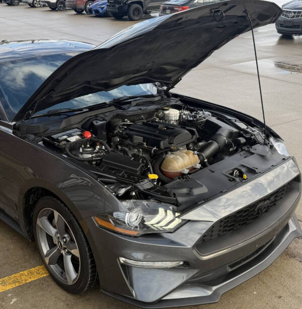 2019 Ford Mustang EcoBoost