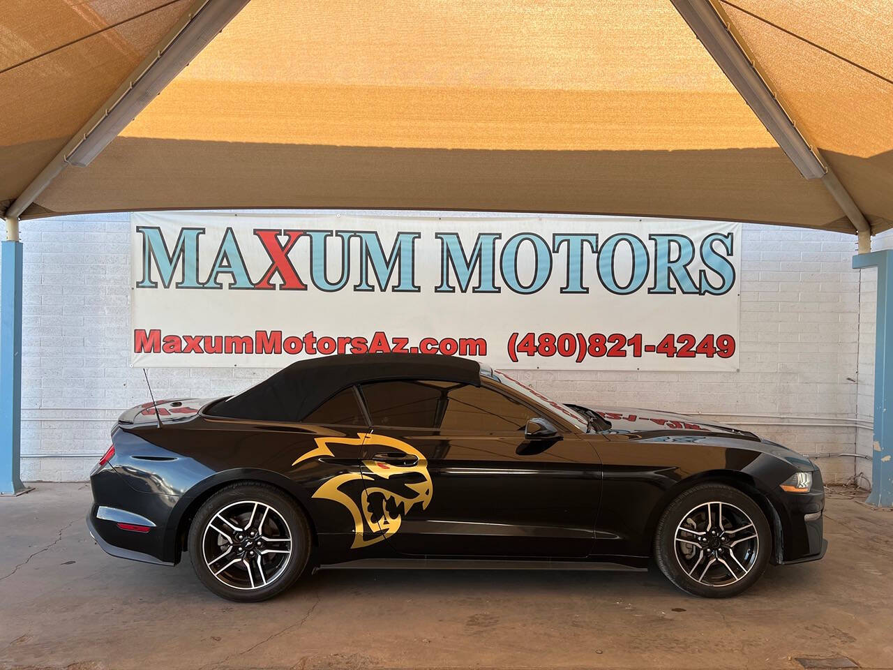 2021 Ford Mustang for sale at Maxum Motors Limited in Chandler, AZ