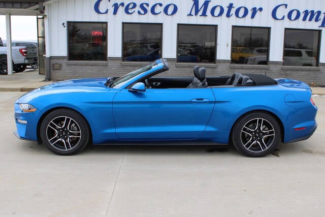 2021 Ford Mustang for sale at Cresco Motor Company in Cresco, IA