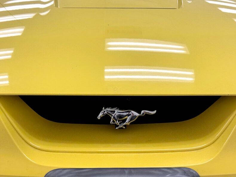 2001 Ford Mustang SVT Cobra