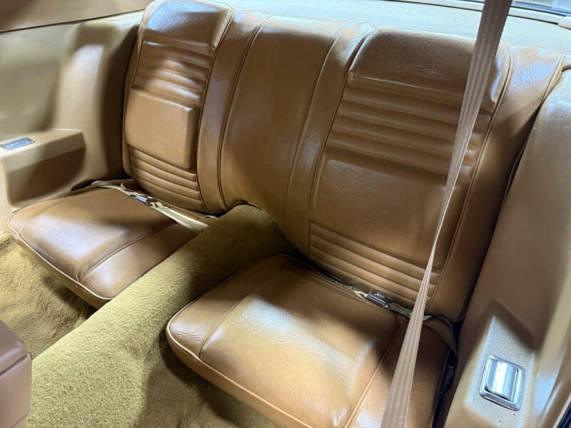 1981 Pontiac Firebird Trans Am