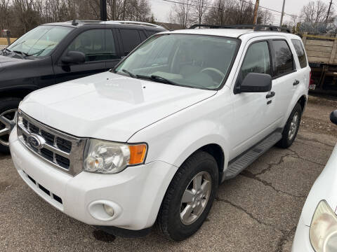 2010 Ford Escape for sale at David Shiveley in Mount Orab OH