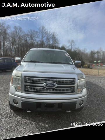 2012 Ford F-150 for sale at J.A.M. Automotive in Surgoinsville TN
