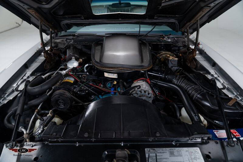 1979 Pontiac Trans Am