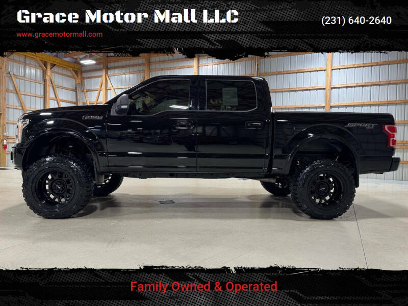2018 Ford F-150 for sale at Grace Motor Mall LLC in Traverse City MI