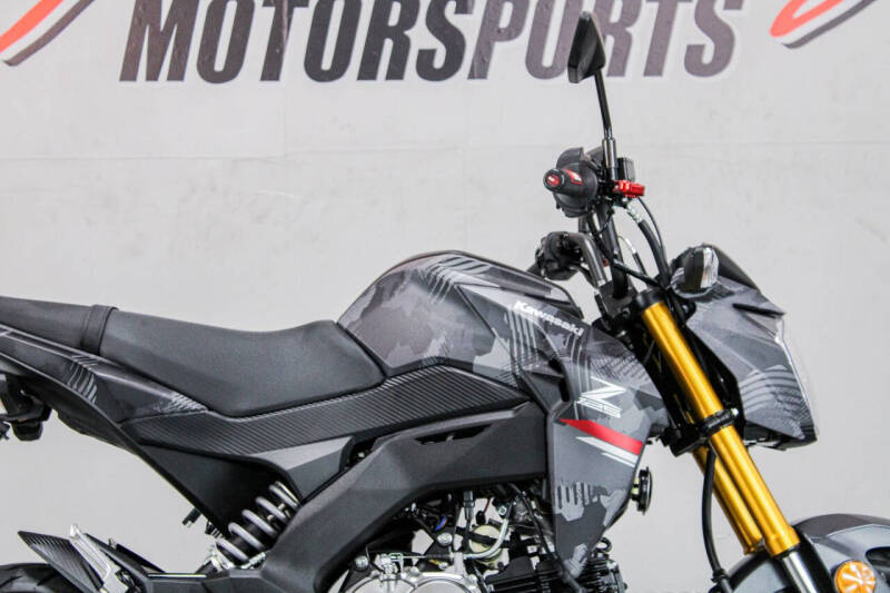 2024 Kawasaki Z125 Pro