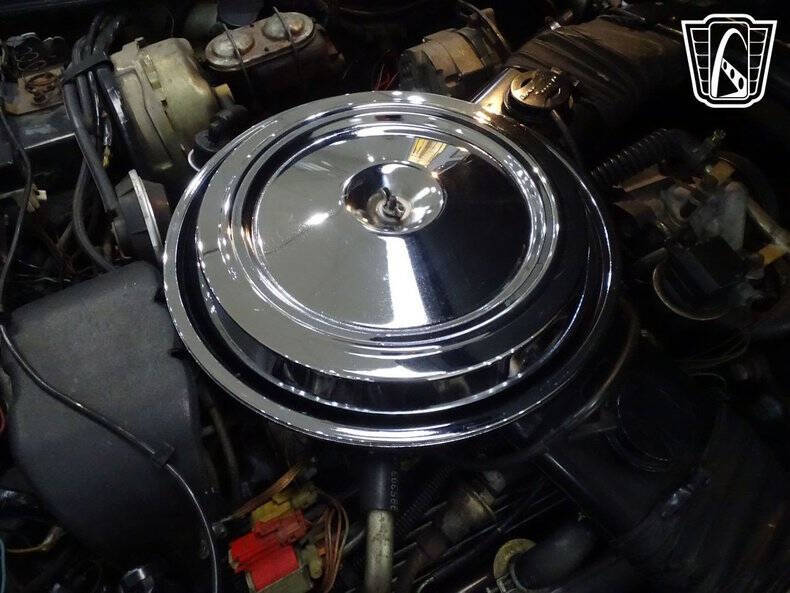 1981 Chevrolet Corvette