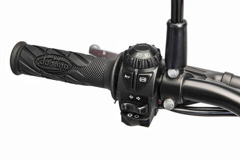 2026 Beta 350 Alp 4.0