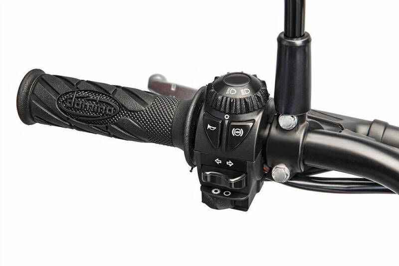 2026 Beta 350 Alp 4.0