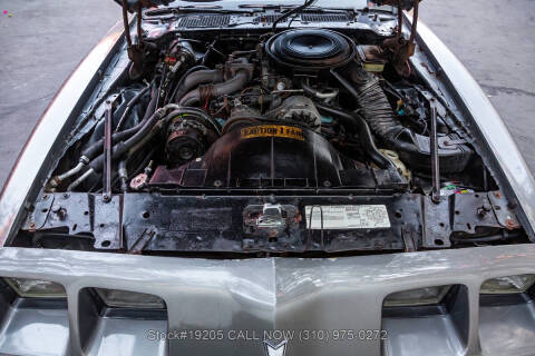 1981 Pontiac Firebird Trans Am SE Turbo