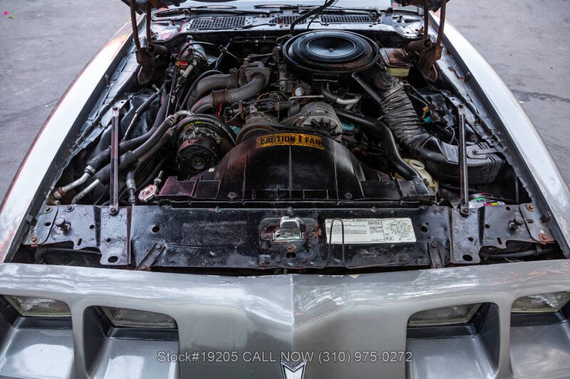 1981 Pontiac Firebird Trans Am SE Turbo