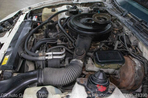 1984 Pontiac Firebird Trans Am