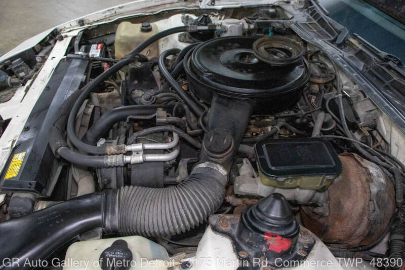 1984 Pontiac Firebird Trans Am