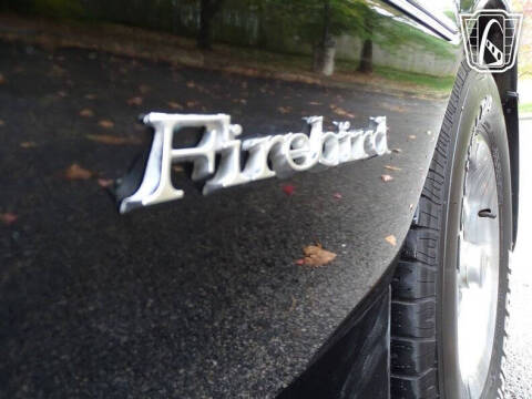 1981 Pontiac Firebird