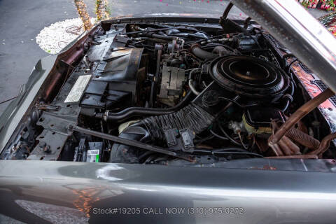 1981 Pontiac Firebird Trans Am SE Turbo