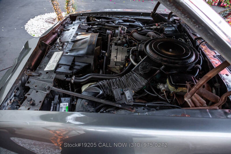 1981 Pontiac Firebird Trans Am SE Turbo