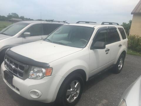 2012 Ford Escape for sale at RJD Enterprize Auto Sales in Scotia NY