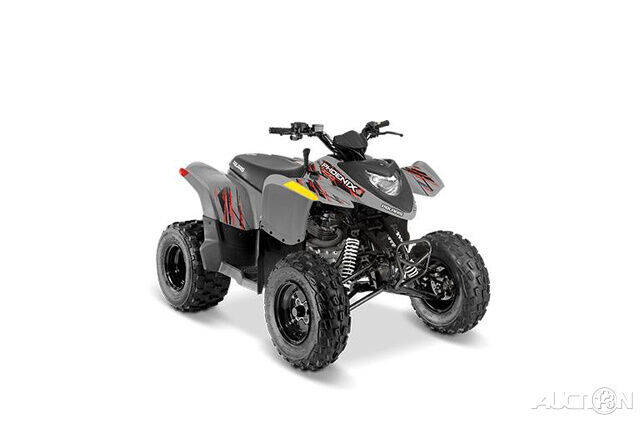 2020 Polaris Phoenix