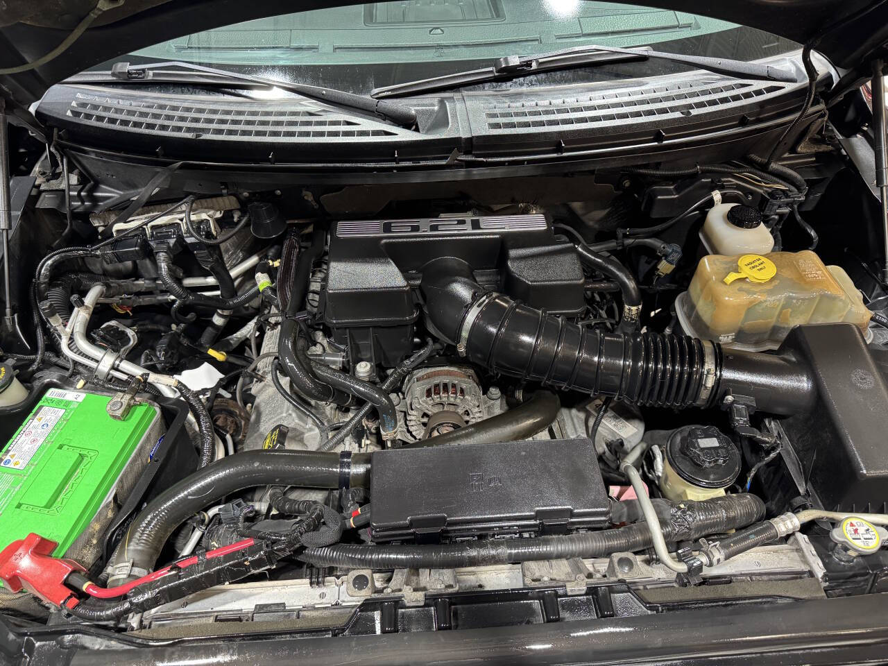 2010 Ford F-150 3
