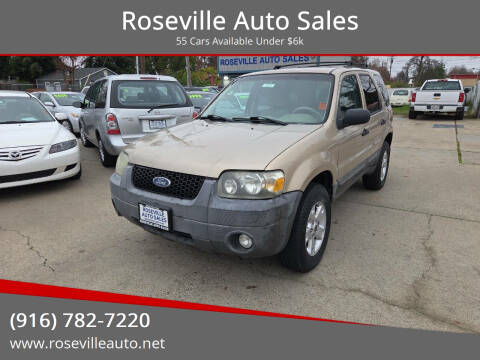 2007 Ford Escape XLT