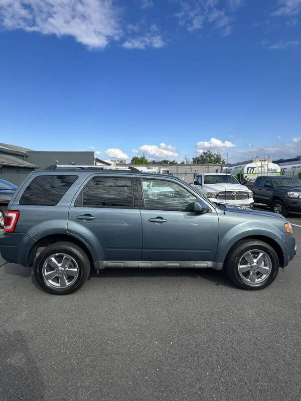 2010 Ford Escape Limited