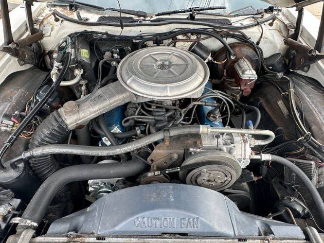 1977 Ford Thunderbird