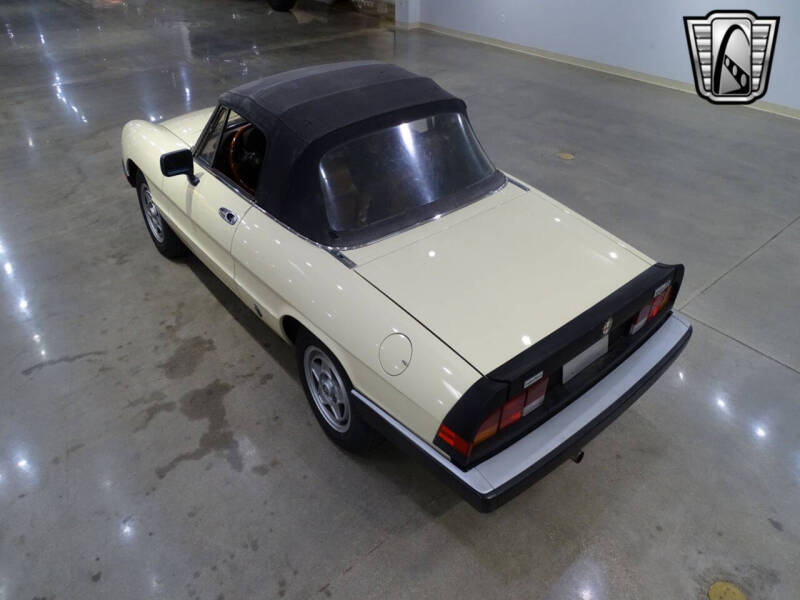 1984 Alfa Romeo Spider Veloce