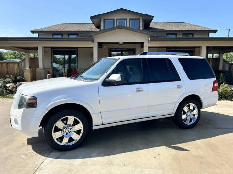 2009 Ford Expedition Limited