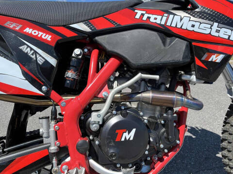 2024 TrailMaster TM38EX-300