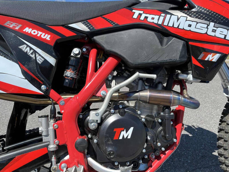 2024 TrailMaster TM38EX-300