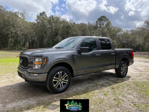 2023 Ford F-150 for sale at TIMBERLAND FORD in Perry FL