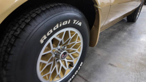 1979 Pontiac Trans Am