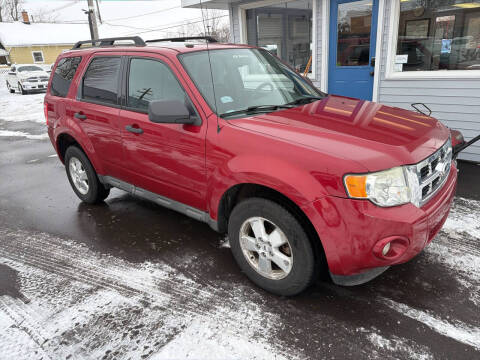 2010 Ford Escape XLT