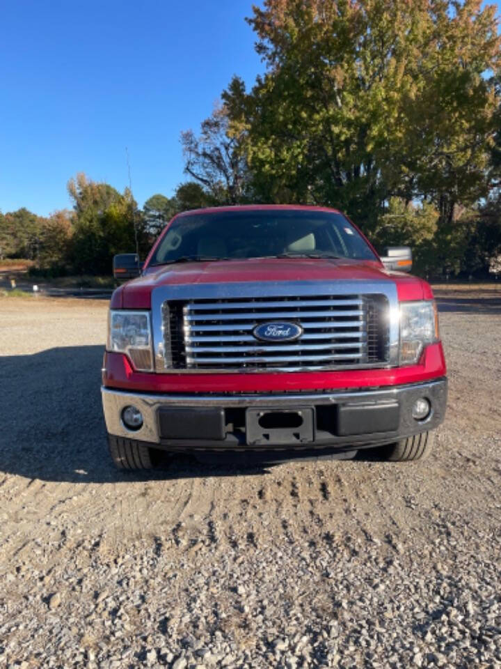 2010 Ford F-150 for sale at Cove Creek Motors LLC in Damascus, AR