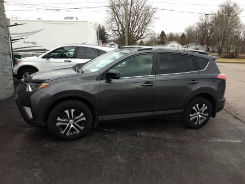 2017 Toyota RAV4 for sale at Economy Motors in Muncie IN