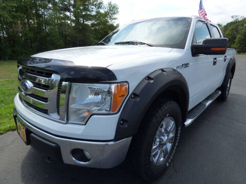 2014 Ford F-150 for sale at American Auto Sales in Forest Lake MN