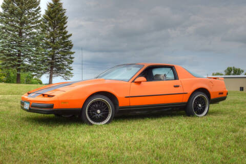 1989 Pontiac Firebird for sale at Hooked On Classics in Excelsior MN