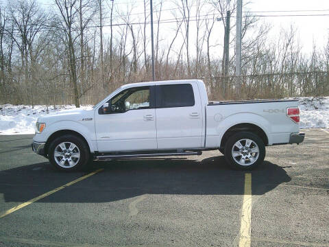 2011 Ford F-150 for sale at Triple M Motors in Saint John IN