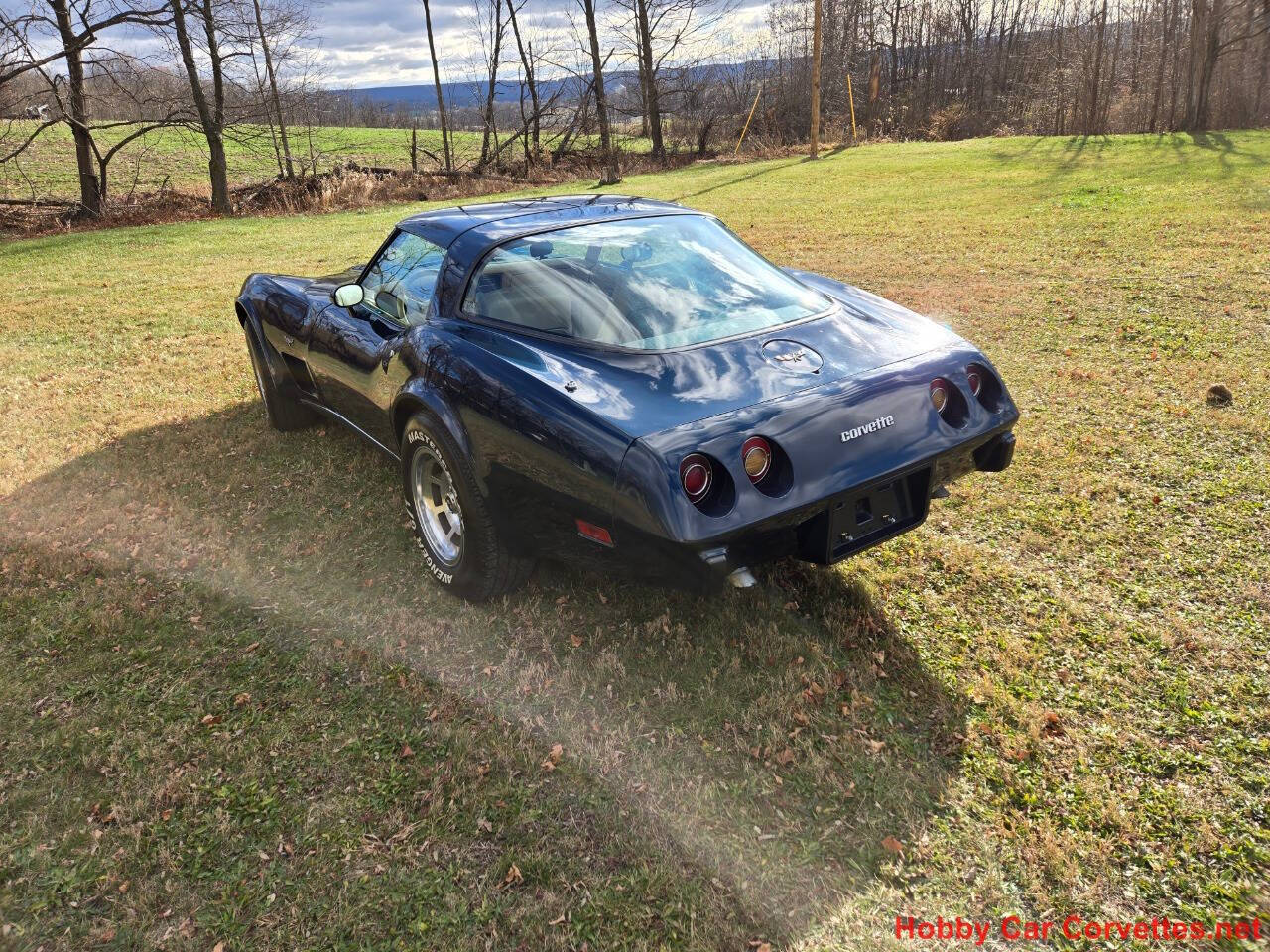 1979 Chevrolet Corvette 11