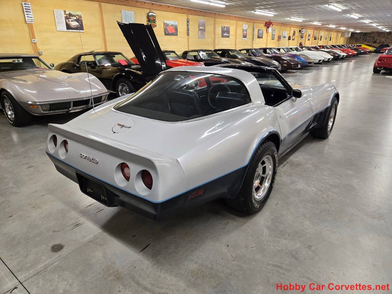 1981 Chevrolet Corvette 50
