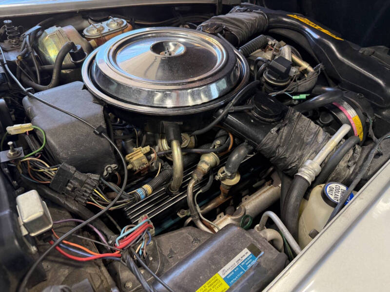 1981 Chevrolet Corvette